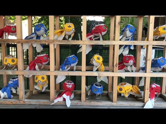 日本の神社で開催されたウクライナファッションショー